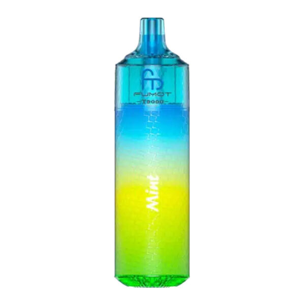 Fumot RandM T9000 Prefilled Vape - Image 26