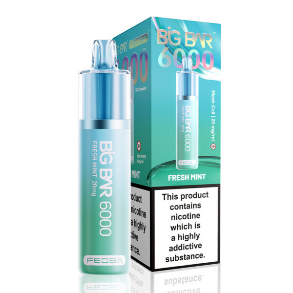 Feoba Big Bar 6000 Puffs Prefilled Vape - Image 7