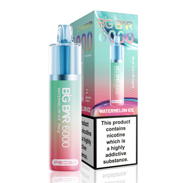 Feoba Big Bar 6000 Puffs Prefilled Vape - Image 21