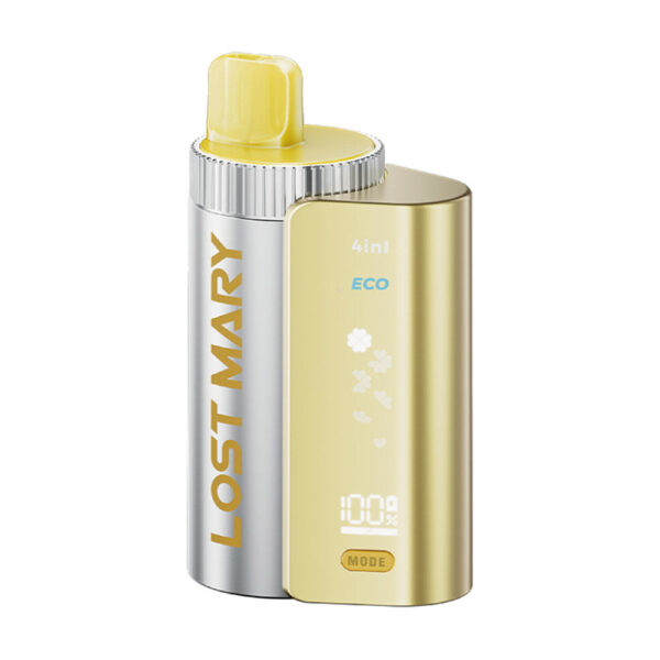 Lost Mary 4 In 1 Prefilled Pod Kit - Image 11
