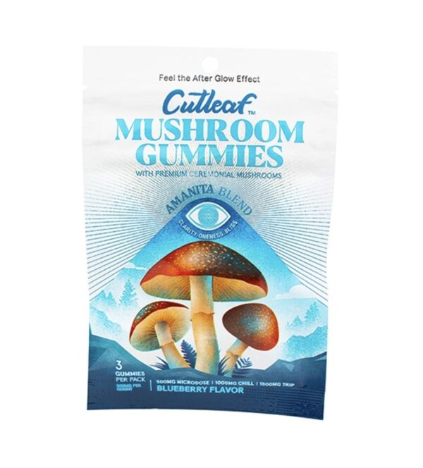 Blueberry Cutleaf Mushroom Gummies Amanita Blend 500mg
